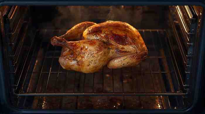 top rated Ninja Foodi Air Fryer Oven Reviews