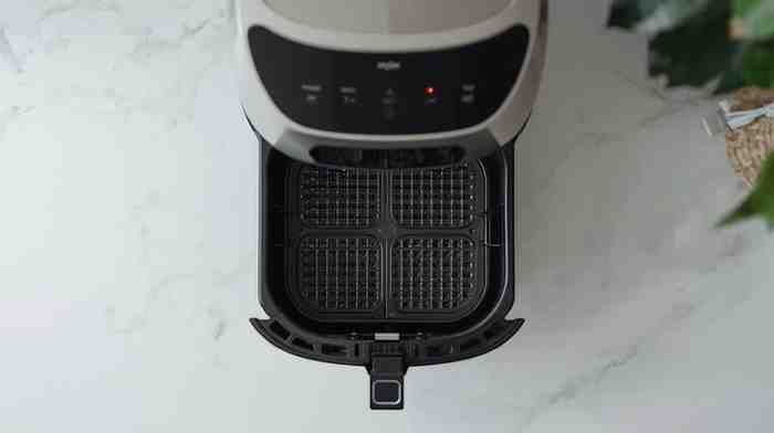 best air fryer for fish