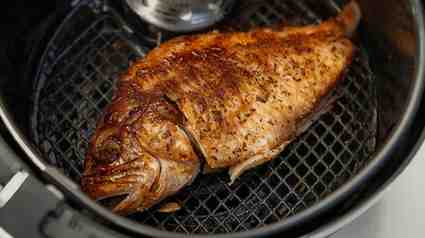 tilapia cooking test on air fryer
