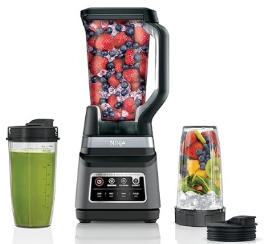 a blender for everyday use